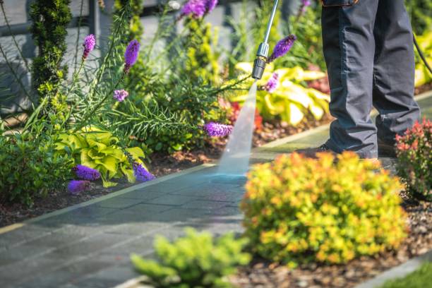 Best Dumpster Area Cleaning  in Greenville, GA